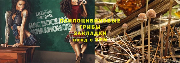 jwh Елизово