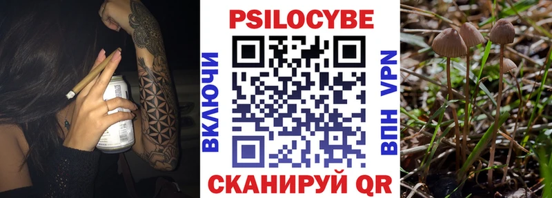 Купить Ирбит Галлюциногенные грибы Psilocybe